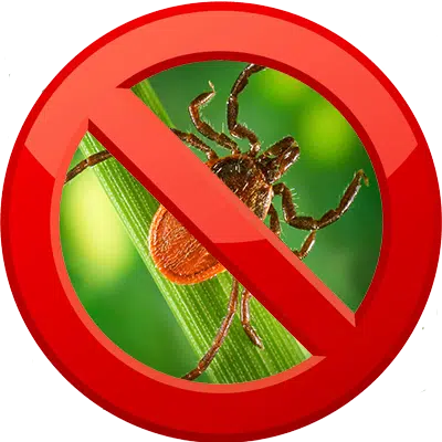 Tick Control Services near Denville, Rockaway, Boonton, Mountain Lakes, Parsippany, Morris Plains and the surrounding areas