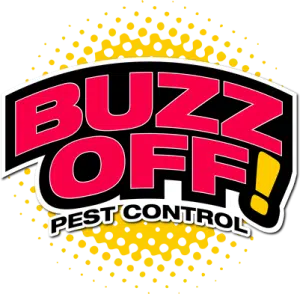 Buzz Off Pest Control - Serving Denville, Rockaway, Boonton, Mountain Lakes and the surrounding communities!