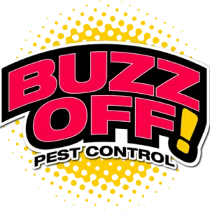 Buzz Off Pest Control - Serving Denville, Rockaway, Boonton, Mountain Lakes and the surrounding communities!